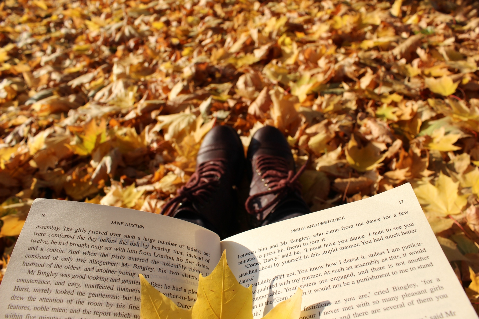 Favourite Fall Book Quotes
